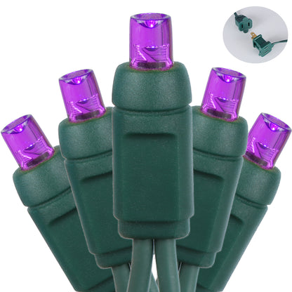 5mm 70-LED Green Wire Light String, 4 Inch Bulb Spacing, Purple